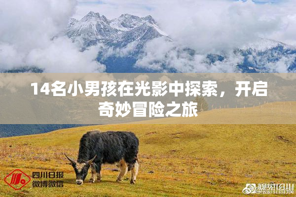 14名小男孩在光影中探索，开启奇妙冒险之旅
