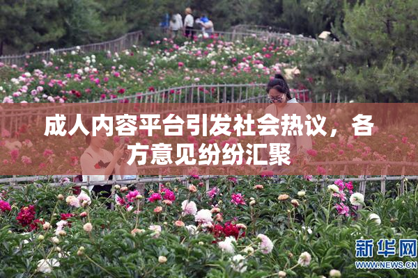 成人内容平台引发社会热议，各方意见纷纷汇聚