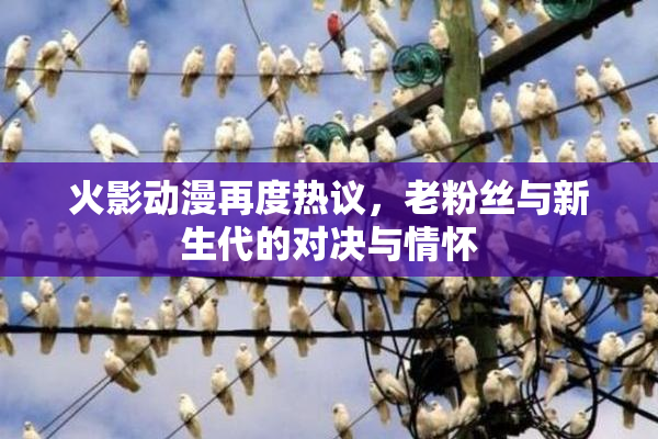 火影动漫再度热议，老粉丝与新生代的对决与情怀