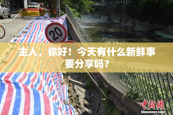 主人，你好！今天有什么新鲜事要分享吗？