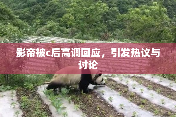 影帝被c后高调回应，引发热议与讨论