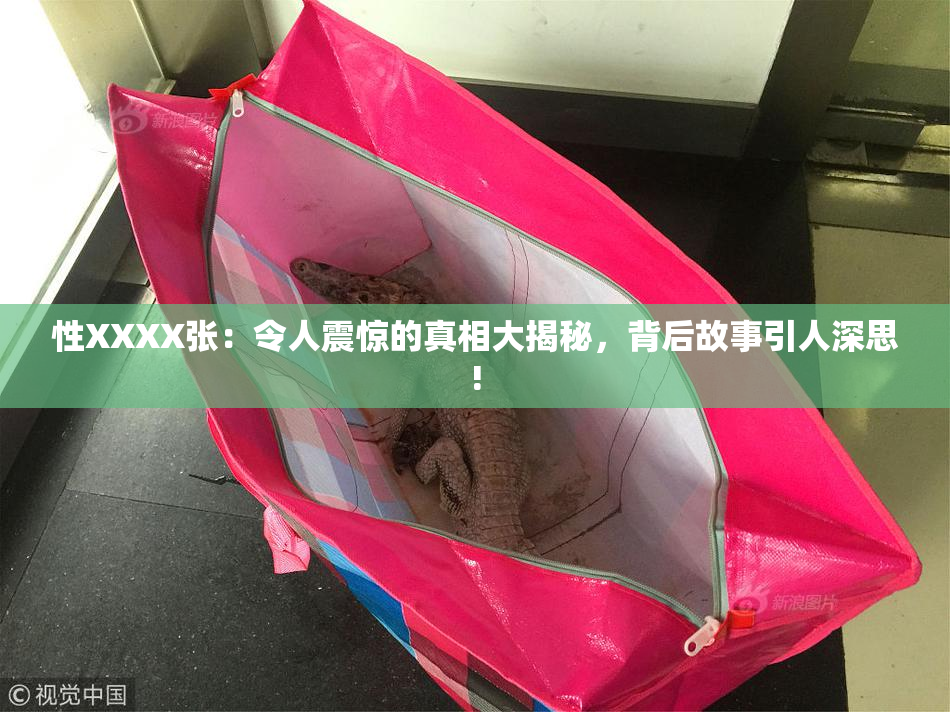 性XXXX张：令人震惊的真相大揭秘，背后故事引人深思!