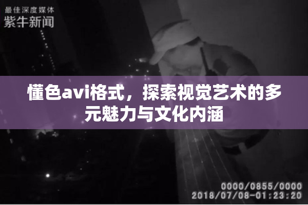 懂色avi格式，探索视觉艺术的多元魅力与文化内涵