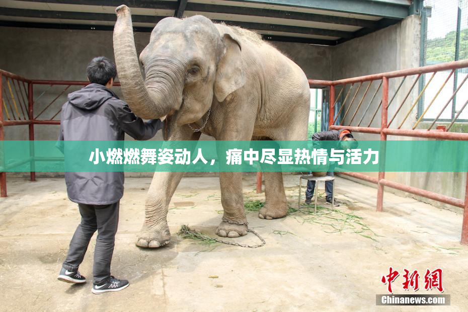 小燃燃舞姿动人，痛中尽显热情与活力