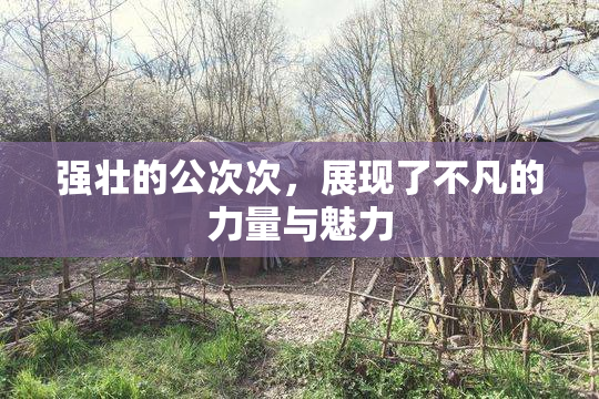 强壮的公次次，展现了不凡的力量与魅力