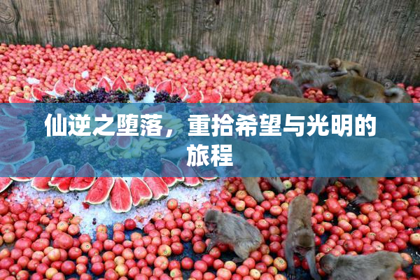 仙逆之堕落，重拾希望与光明的旅程