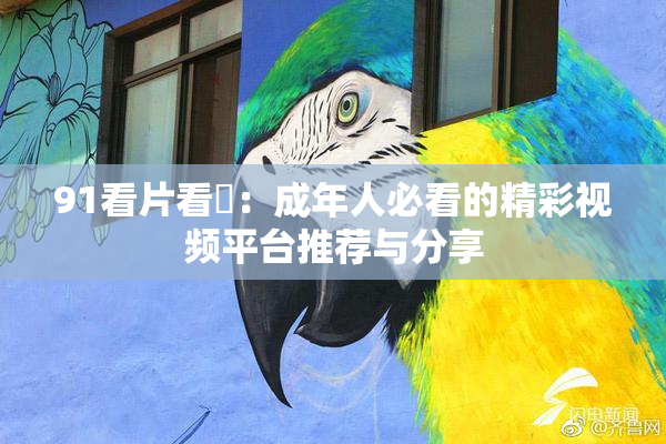 91看片看婬：成年人必看的精彩视频平台推荐与分享