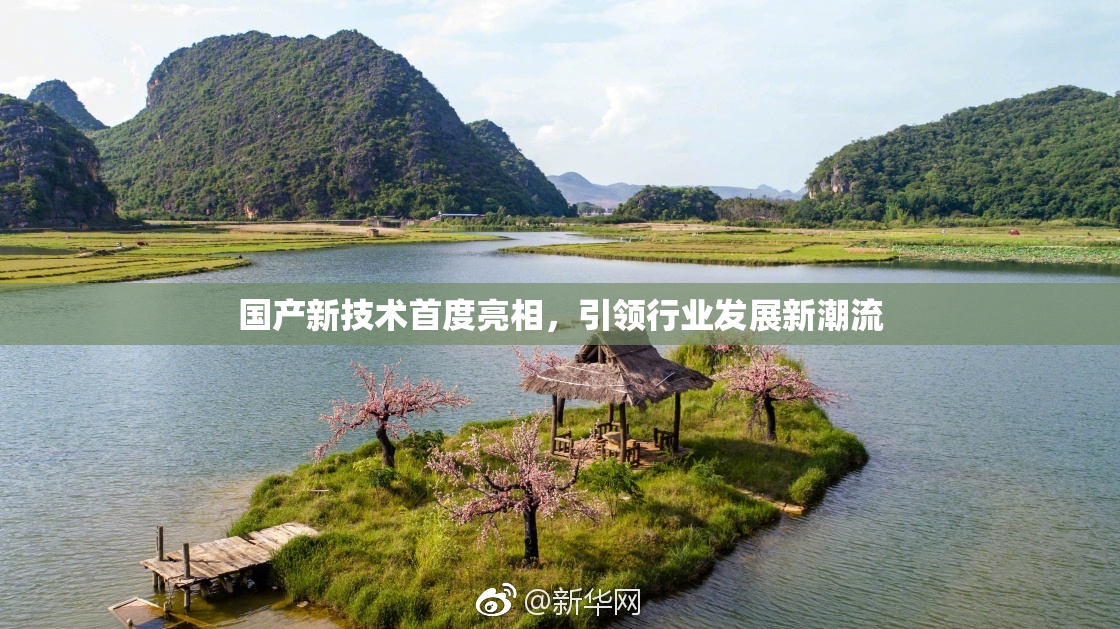 国产新技术首度亮相，引领行业发展新潮流