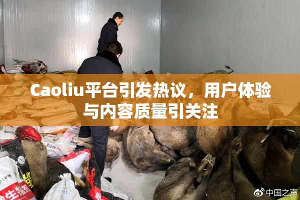 Caoliu平台引发热议，用户体验与内容质量引关注
