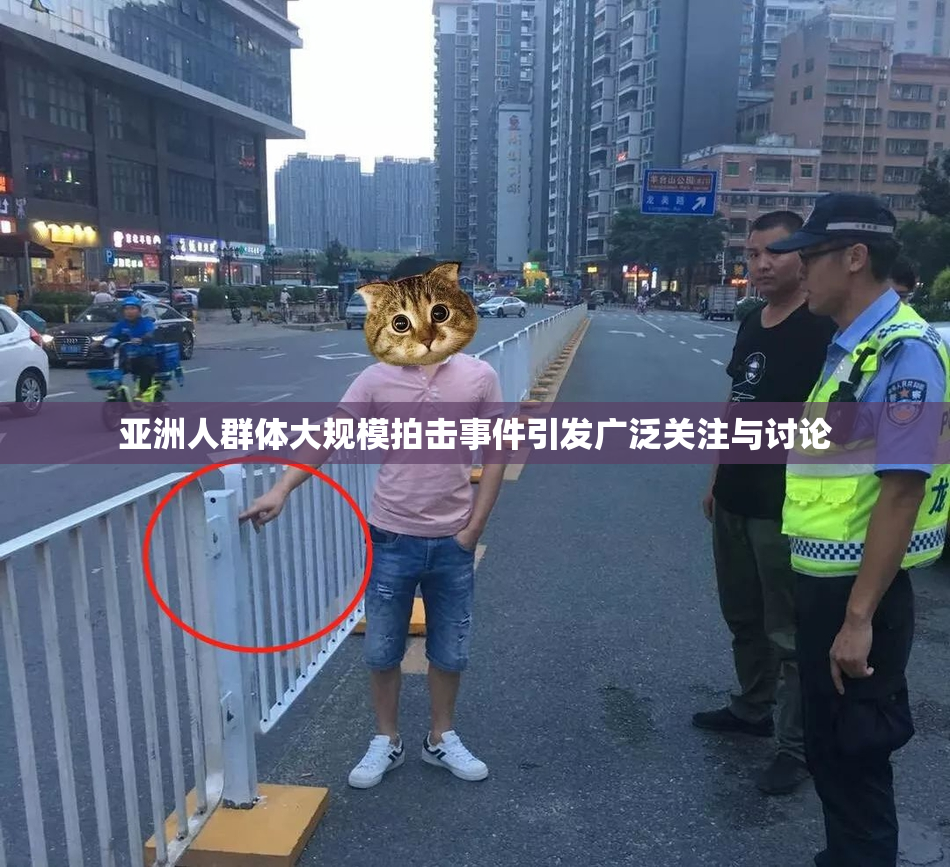 亚洲人群体大规模拍击事件引发广泛关注与讨论
