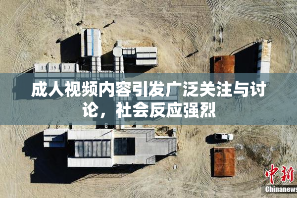 成人视频内容引发广泛关注与讨论，社会反应强烈