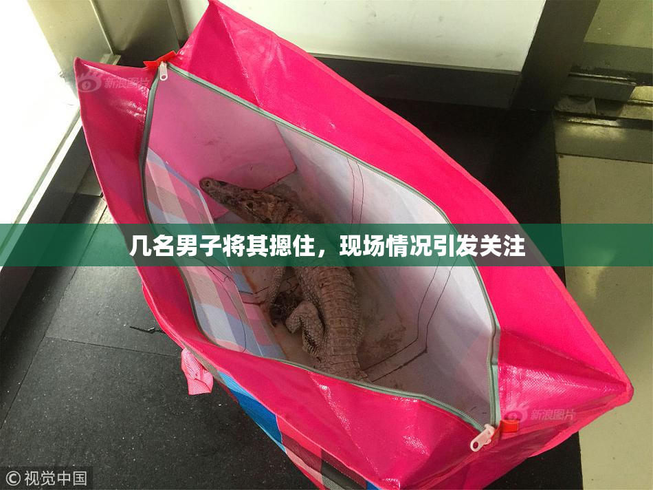 几名男子将其摁住，现场情况引发关注