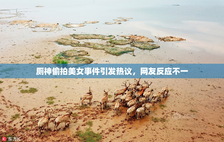 厕神偷拍美女事件引发热议，网友反应不一