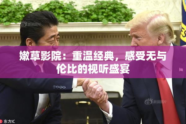 嫩草影院：重温经典，感受无与伦比的视听盛宴