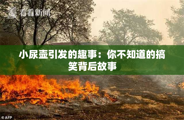 小尿壶引发的趣事：你不知道的搞笑背后故事