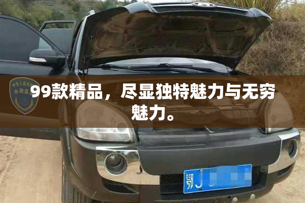 99款精品，尽显独特魅力与无穷魅力。