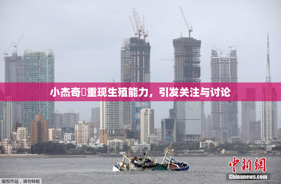 小杰奇犽重现生殖能力，引发关注与讨论