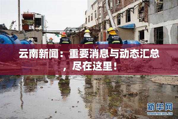 云南新闻：重要消息与动态汇总，尽在这里！