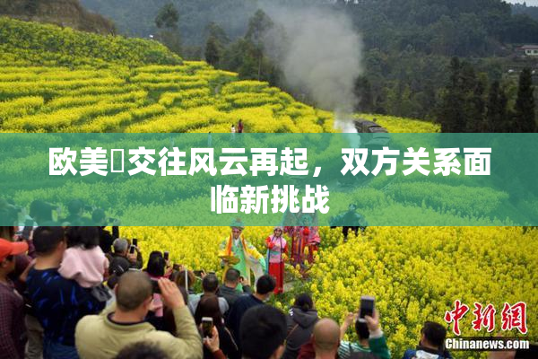 欧美巜交往风云再起，双方关系面临新挑战