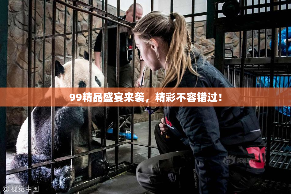 99精品盛宴来袭，精彩不容错过！