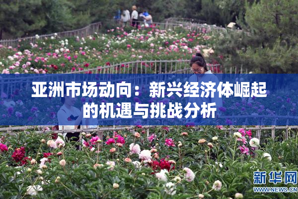 亚洲市场动向：新兴经济体崛起的机遇与挑战分析