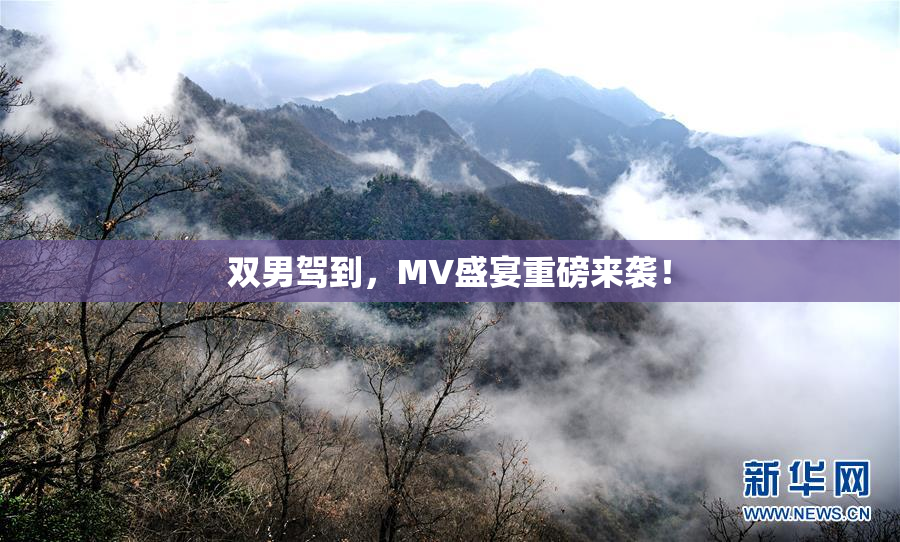 双男驾到，MV盛宴重磅来袭！