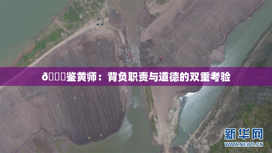 🔞鉴黄师：背负职责与道德的双重考验