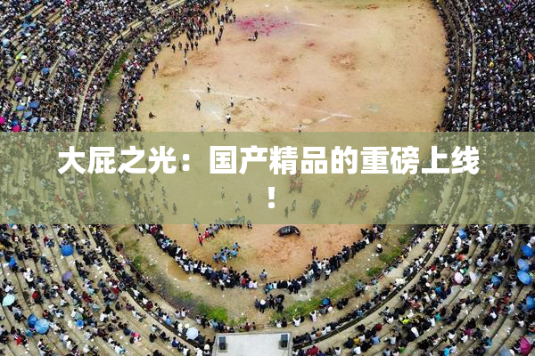 大屁之光：国产精品的重磅上线！
