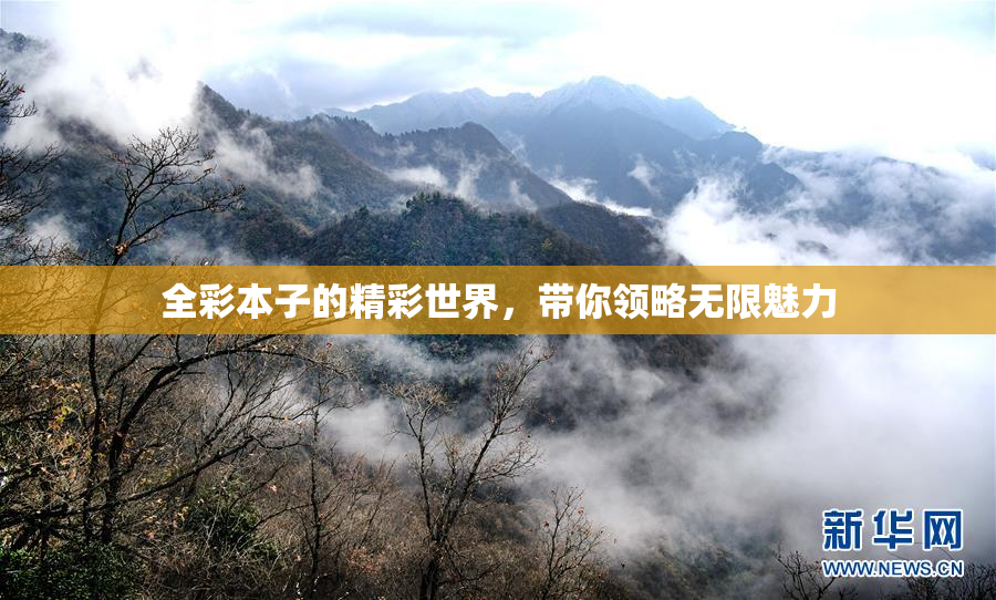 全彩本子的精彩世界，带你领略无限魅力