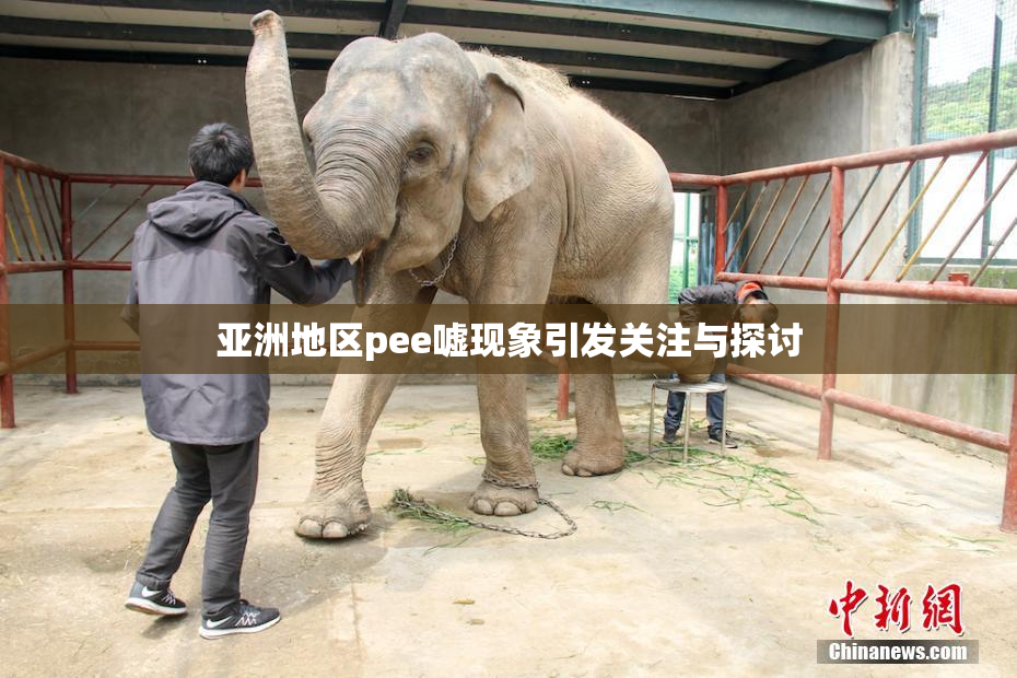 亚洲地区pee嘘现象引发关注与探讨