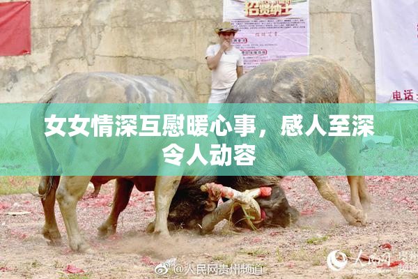 女女情深互慰暖心事，感人至深令人动容
