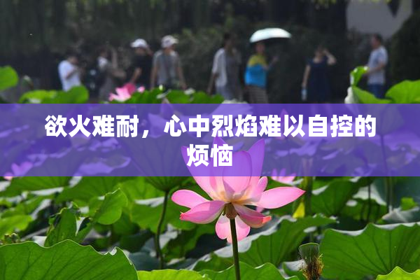 欲火难耐，心中烈焰难以自控的烦恼