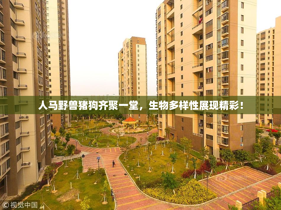 人马野兽猪狗齐聚一堂，生物多样性展现精彩！