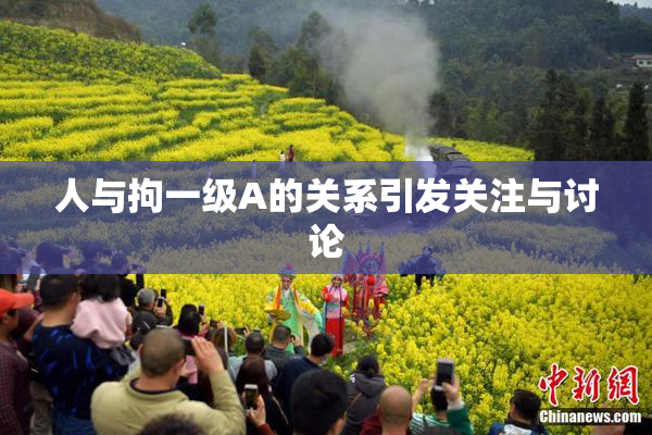 人与拘一级A的关系引发关注与讨论