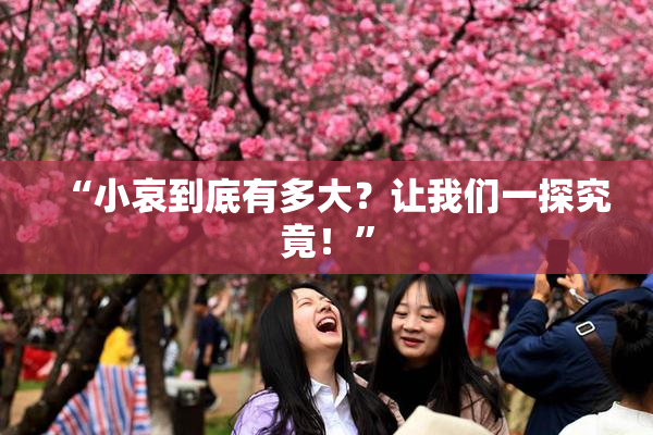 “小哀到底有多大？让我们一探究竟！”