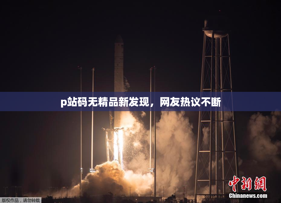 p站码无精品新发现，网友热议不断