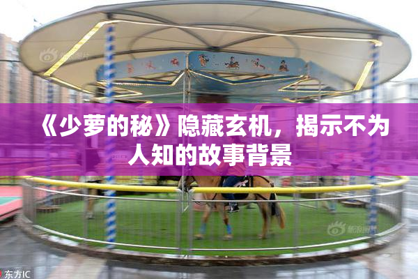 《少萝的秘》隐藏玄机，揭示不为人知的故事背景