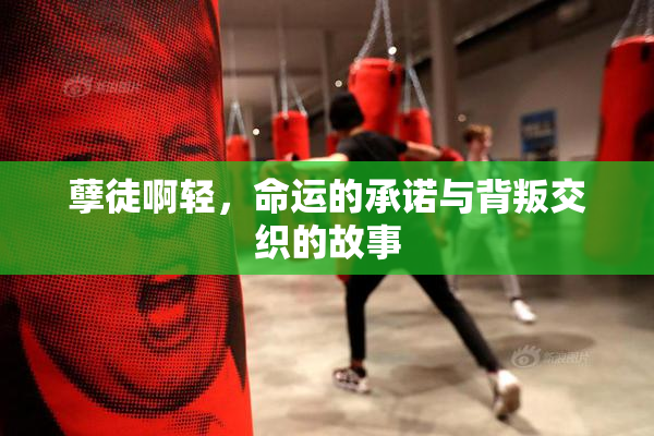 孽徒啊轻，命运的承诺与背叛交织的故事