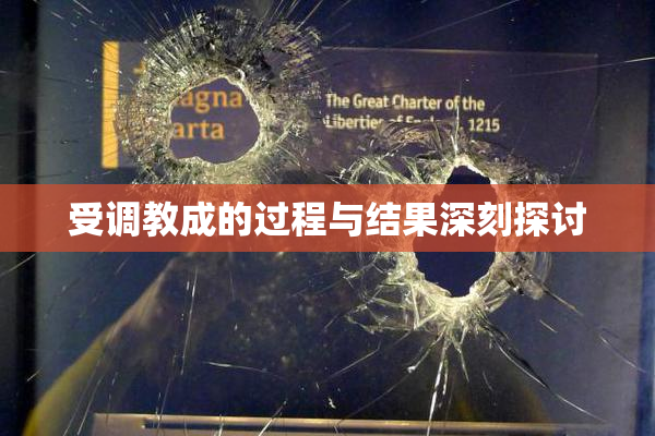 受调教成的过程与结果深刻探讨