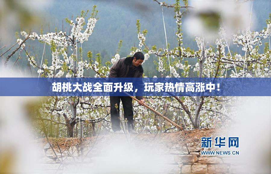 胡桃大战全面升级，玩家热情高涨中！