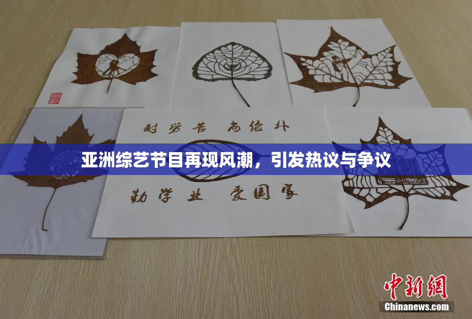 亚洲综艺节目再现风潮，引发热议与争议