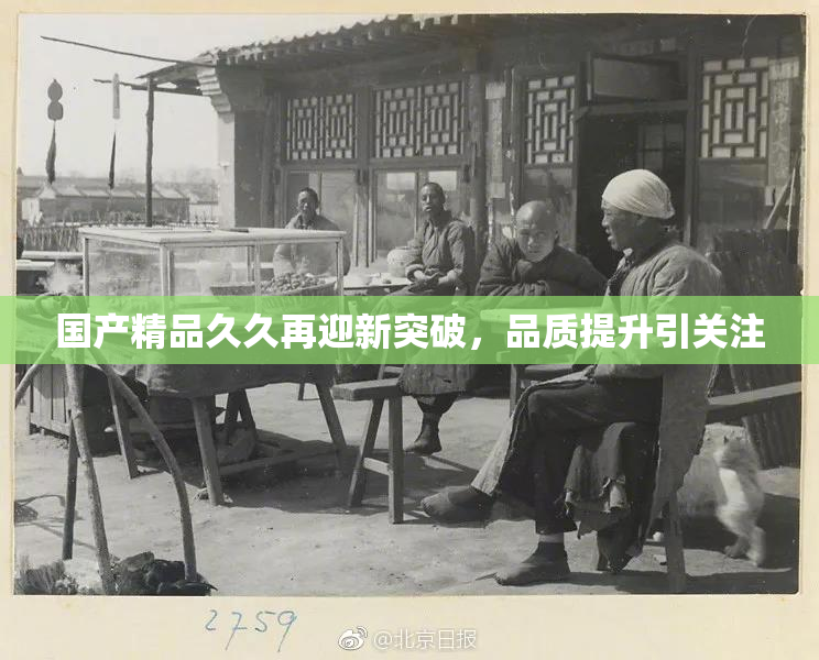 国产精品久久再迎新突破，品质提升引关注