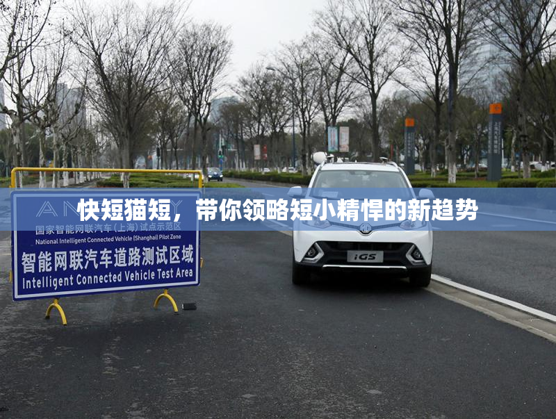 快短猫短，带你领略短小精悍的新趋势