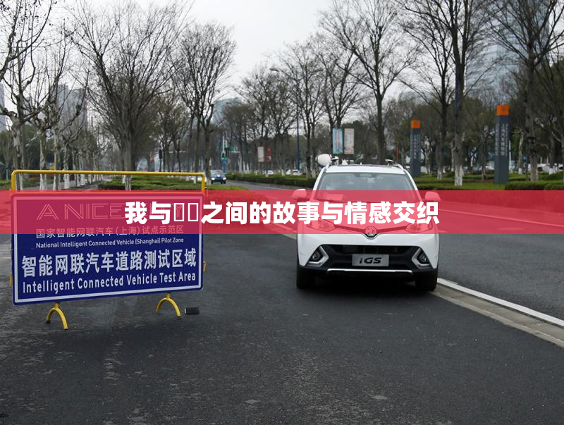 我与妺妺之间的故事与情感交织
