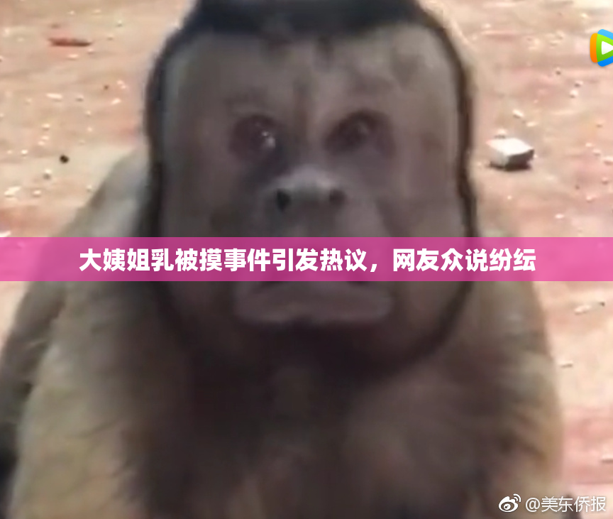 大姨姐乳被摸事件引发热议，网友众说纷纭