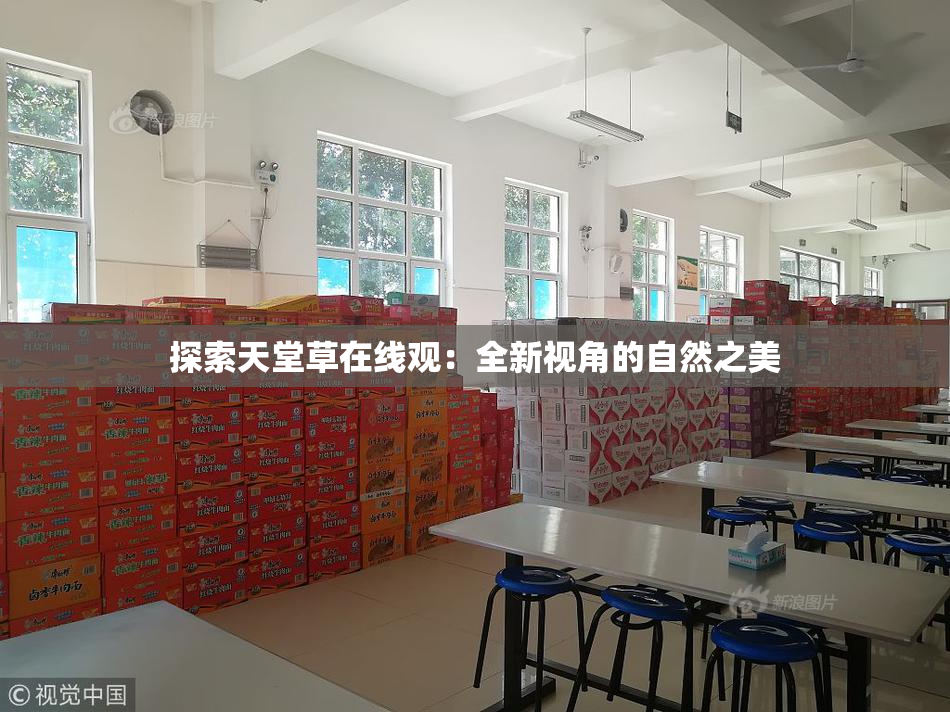 探索天堂草在线观：全新视角的自然之美