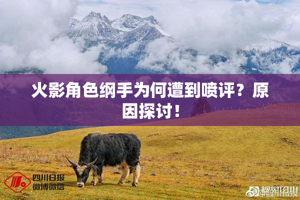 火影角色纲手为何遭到喷评？原因探讨！