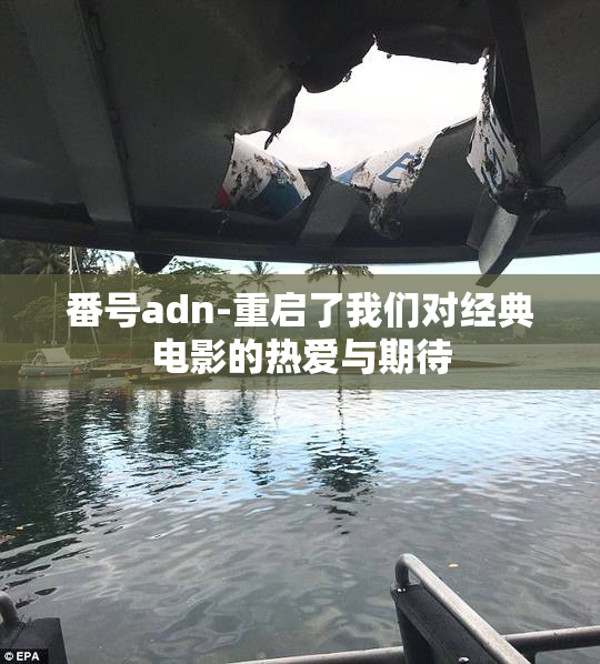 番号adn-重启了我们对经典电影的热爱与期待