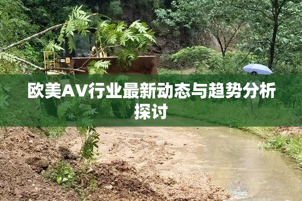 欧美AV行业最新动态与趋势分析探讨