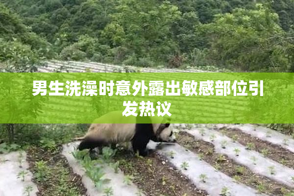男生洗澡时意外露出敏感部位引发热议